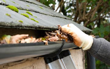 gutter cleaning Southwood